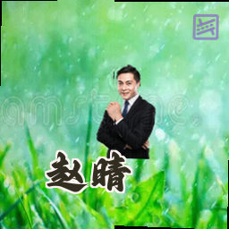 赵晴
